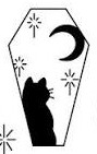 Black cat and crescent moon inside a narrow coffin outline.