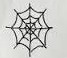 Compact spiderweb drawn with fine black lines.
