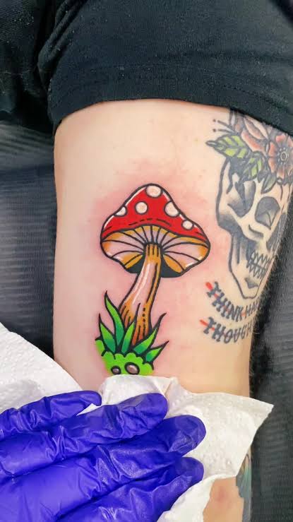 Tiny green frog peeking from grass beneath a red mushroom with pale pink gills on the upper arm.