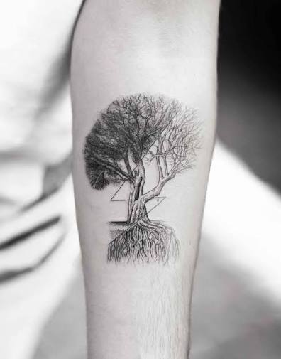 Tree with one shaded side, one bare side, and exposed roots spreading down the upper arm