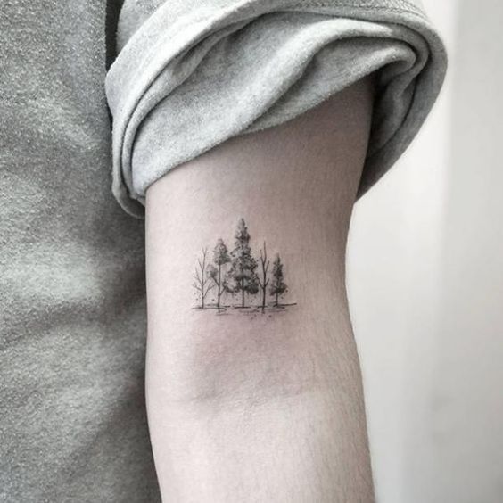 Small grove of shaded evergreens and bare trees on the upper arm